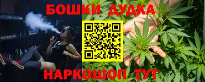 шишки Будённовск