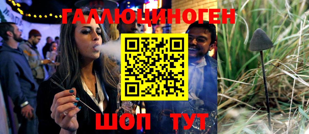 Псилоцибиновые грибы Magic Shrooms Черногорск