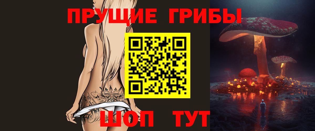 магазин    Псилоцибиновые грибы GOLDEN TEACHER  Вход с VPN  Черногорск  Псилоцибиновые грибы Psilocybe 