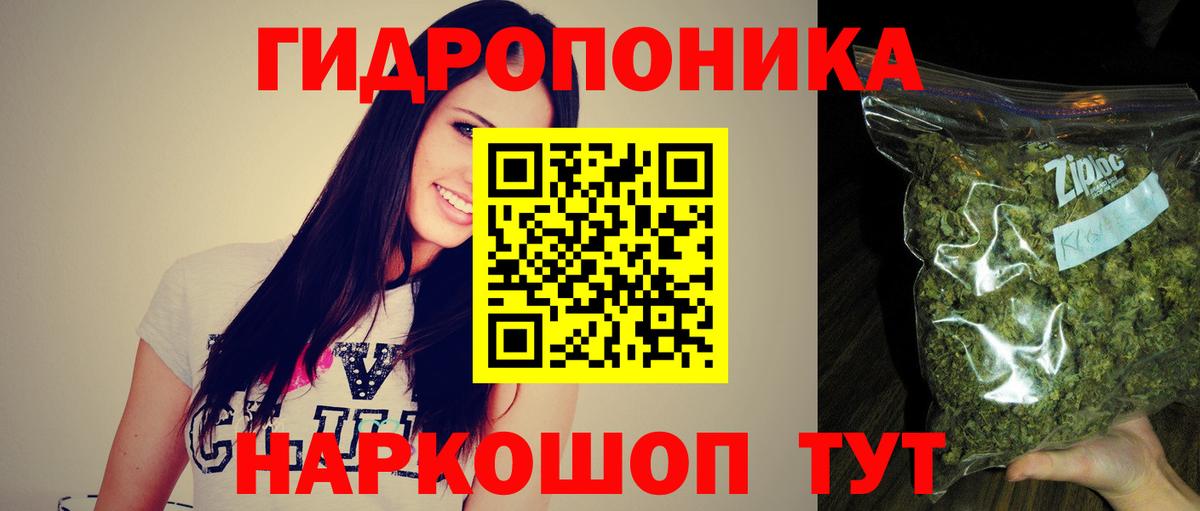 Бошки Шишки VHQ Черногорск